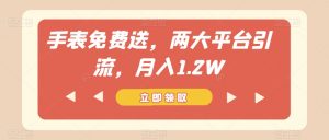 手表免费送,两大平台引流,月入1.2W【揭秘】-网创资源吧