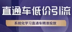直通车低价引流课,系统化学习直通车精准投放-网创资源吧