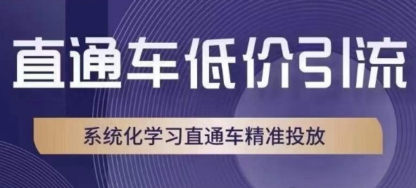 直通车低价引流课，系统化学习直通车精准投放-网创资源吧