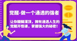 觉醒-做一个通透的强者,让你醍醐灌顶,拥有通透人生的觉醒开悟课,掌握强大的秘密!-网创资源吧