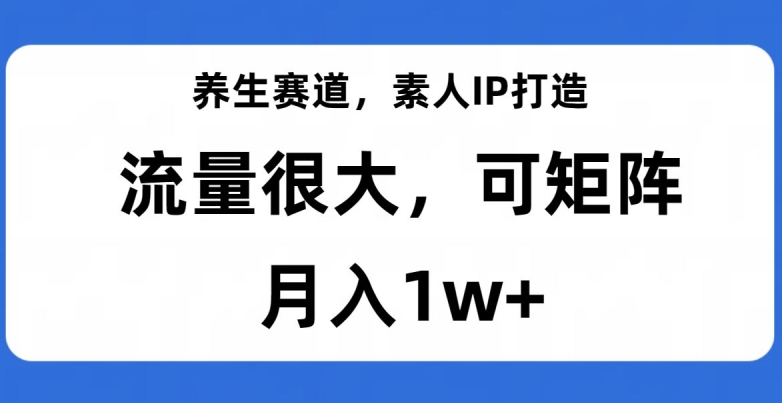 养生赛道，素人IP打造，流量很大，可矩阵，月入1w+【揭秘】-网创资源吧