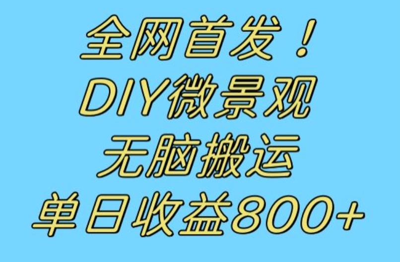 全网首发冷门赛道！DIY微景观，无脑搬运视频，日收益800+【揭秘】-网创资源吧