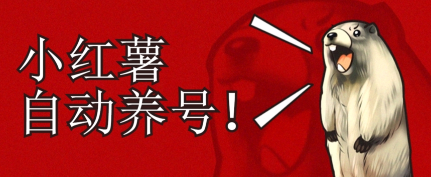 小红书养号秘籍，如何自动涨粉清晰系统标签打造高权重账号【揭秘】-网创资源吧