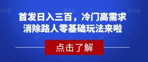 首发日入三百,冷门高需求消除路人零基础玩法来啦【揭秘】-网创资源吧