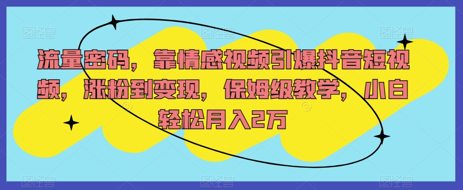流量密码，靠情感视频引爆抖音短视频，涨粉到变现，保姆级教学，小白轻松月入2万【揭秘】-网创资源吧