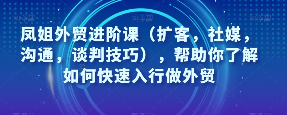 凤姐外贸进阶课（扩客，社媒，沟通，谈判技巧），帮助你了解如何快速入行做外贸-网创资源吧