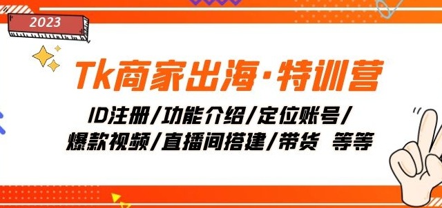 Tk商家出海·特训营：ID注册/功能介绍/定位账号/爆款视频/直播间搭建/带货-网创资源吧