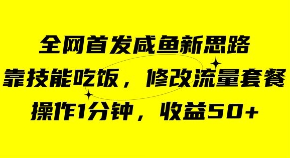 咸鱼冷门新玩法，靠“技能吃饭”，修改流量套餐，操作1分钟，收益50【揭秘】-网创资源吧