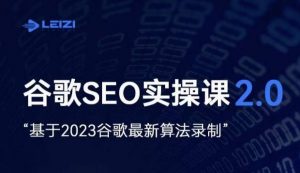 雷子·谷歌SEO 2.0实战课,独立站询盘自由必备,基于2023谷歌最新算法录制-网创资源吧