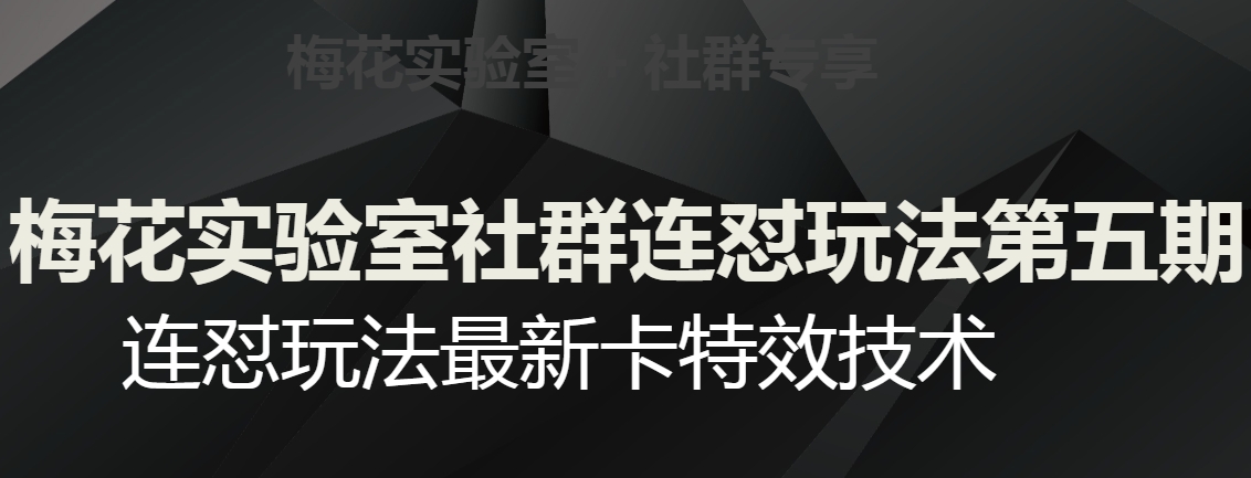 梅花实验室社群连怼玩法第五期，视频号连怼玩法最新卡特效技术-网创资源吧