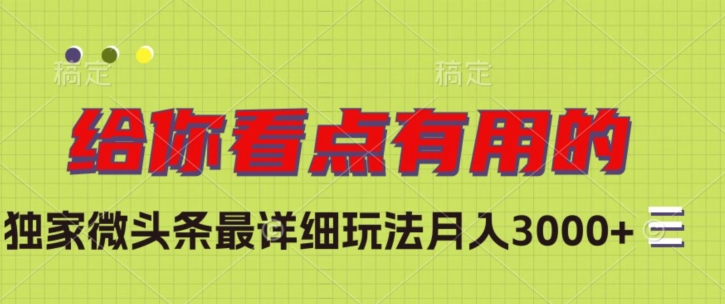 独家微头条最详细玩法，月入3000+【揭秘】-网创资源吧