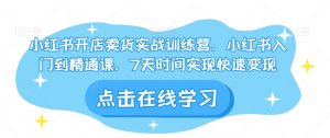 小红书开店卖货实战训练营,小红书入门到精通课,7天时间实现快速变现-网创资源吧