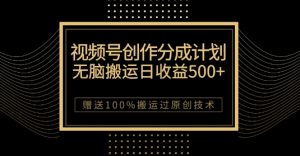最新视频号创作分成计划，无脑搬运一天收益500+，100%搬运过原创技巧【揭秘】-网创资源吧