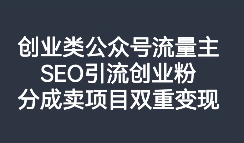 创业类公众号流量主，SEO引流创业粉，分成卖项目双重变现【揭秘】-网创资源吧