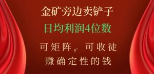 金矿旁边卖铲子，赚确定性的钱，可矩阵，可收徒，日均利润4位数【揭秘】-网创资源吧