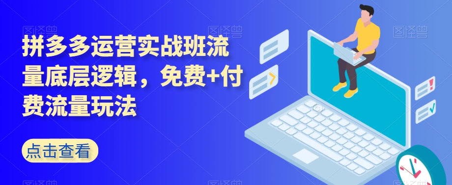 拼多多运营实战班流量底层逻辑，免费+付费流量玩法-网创资源吧
