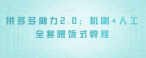 拼多多助力2.0：机刷+人工全套喂饭式教程【揭秘】-网创资源吧