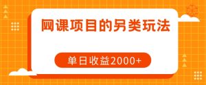 网课项目的另类玩法,单日收益2000+【揭秘】-网创资源吧