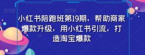 小红书陪跑班第19期,帮助商家爆款升级,用小红书引流,打造淘宝爆款-网创资源吧