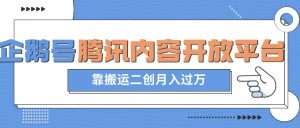 最新蓝海项目,企鹅号腾讯内容开放平台项目,靠搬运二创月入过万【揭秘】-网创资源吧
