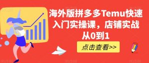 海外版拼多多Temu快速入门实操课，店铺实战从0到1-网创资源吧