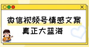视频号情感文案,真正大蓝海,简单操作,新手小白轻松上手(教程+素材)【揭秘】-网创资源吧