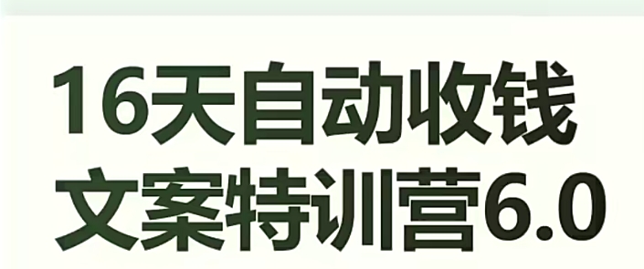 16天自动收钱文案特训营6.0，学会儿每天自动咔咔收钱-网创资源吧