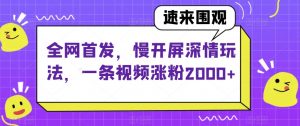 全网首发,慢开屏深情玩法,一条视频涨粉2000+【揭秘】-网创资源吧