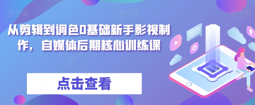从剪辑到调色0基础新手影视制作，自媒体后期核心训练课-网创资源吧