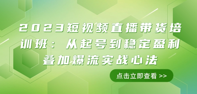 2023短视频直播带货培训班：从起号到稳定盈利叠加爆流实战心法（11节课）-网创资源吧
