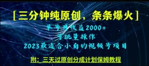 三分钟制作视频号纯原创,条条爆款,轻松月入过万【揭秘】-网创资源吧