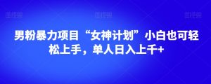 男粉暴力项目“女神计划”小白也可轻松上手，单人日入上千+【揭秘】-网创资源吧