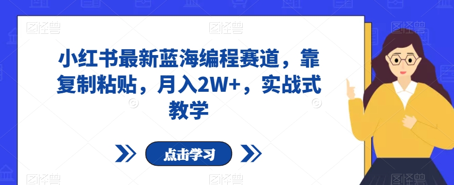 小红书最新蓝海编程赛道，靠复制粘贴，月入2W+，实战式教学【揭秘】-网创资源吧