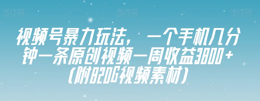 视频号暴力玩法，一个手机几分钟一条原创视频一周收益3800+（附820G视频素材）-网创资源吧