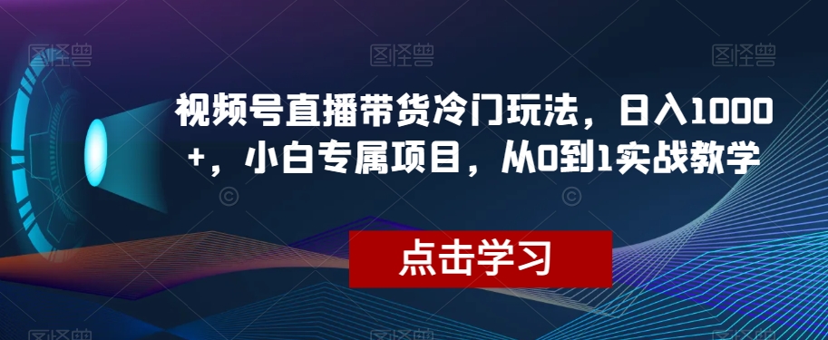 视频号直播带货冷门玩法，日入1000+，小白专属项目，从0到1实战教学【揭秘】-网创资源吧
