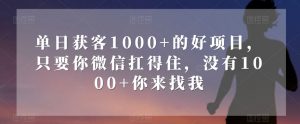 单日获客1000+的好项目，只要你微信扛得住，没有1000+你来找我【揭秘】-网创资源吧