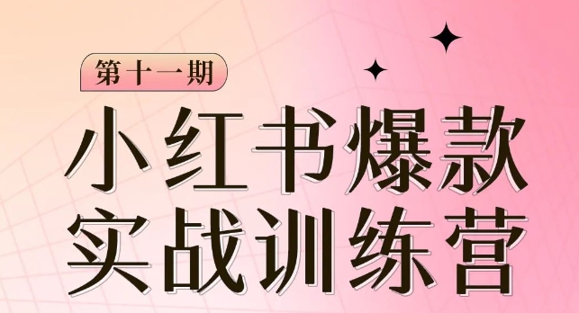 小红书博主爆款训练营第11期，手把手教你从0-1做小红书，从定位到起号到变现-网创资源吧