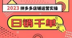 2023拼多多运营实操,每天30分钟日销1000+,爆款选品技巧大全(10节课)-网创资源吧