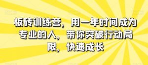 板砖训练营,用一年时间成为专业的人,带你突破行动局限,快速成长-网创资源吧