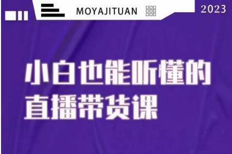 大威本威·能听懂的直播带货课，小白也能听懂，20节完整-网创资源吧