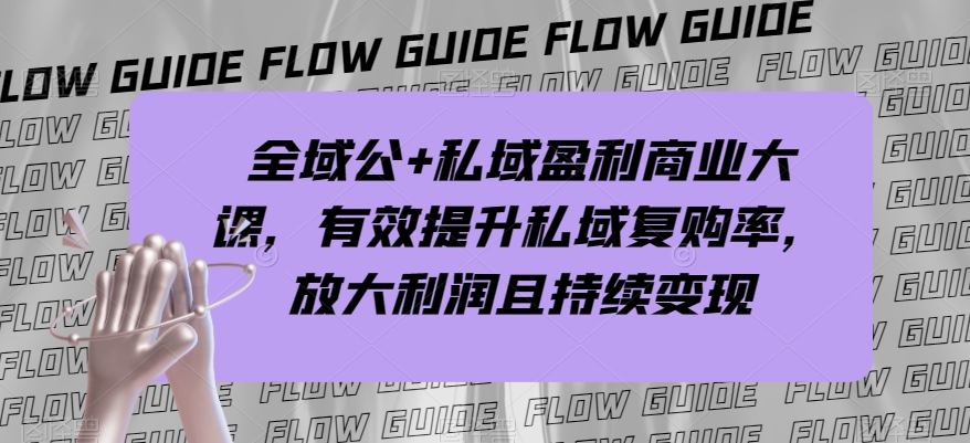 全域公+私域盈利商业大课，有效提升私域复购率，放大利润且持续变现-网创资源吧