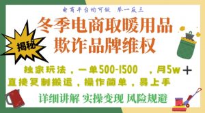 利用电商平台冬季销售取暖用品欺诈行为合理制裁店铺，单日入900+【仅揭秘】-网创资源吧