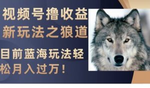 视频号撸收益新玩法之狼道，目前蓝海玩法，轻松月入过万【揭秘】-网创资源吧