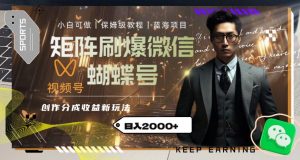 矩阵刷爆微信蝴蝶号创作者分成计划收益的新玩法,日入2000+【揭秘】-网创资源吧