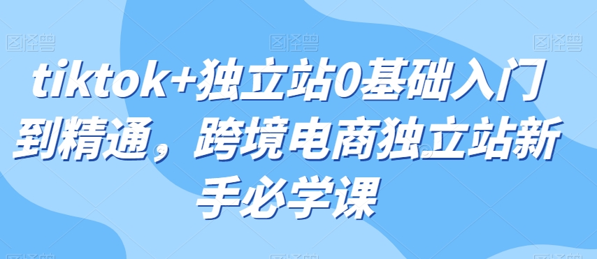 tiktok+独立站0基础入门到精通，跨境电商独立站新手必学课-网创资源吧