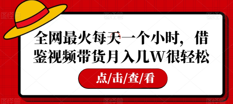 全网最火每天一个小时，借鉴视频带货月入几W很轻松【揭秘】-网创资源吧