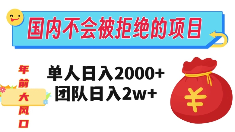在国内不怕被拒绝的项目，单人日入2000，团队日入20000+【揭秘】-网创资源吧