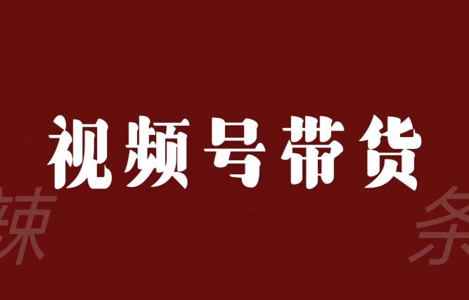 视频号带货联盟，赚信息差的带货钱，只需手机随时随地都可以做！-网创资源吧