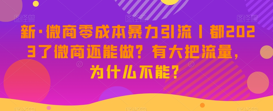 新·微商零成本暴力引流丨都2023了微商还能做？有大把流量，为什么不能？-网创资源吧