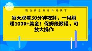 每天观看30分钟视频，一月躺赚1000+美金！保姆级教程，可放大操作【揭秘】-网创资源吧